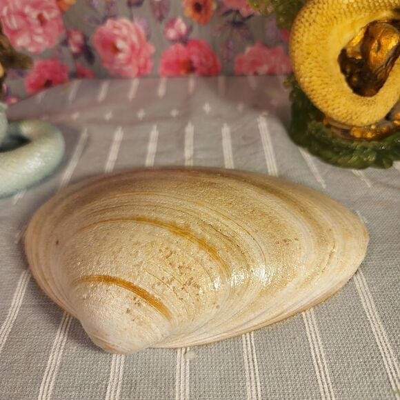 DECOUPAGE CLAM SHELL TRINKET DISH - Picture 7 of 7